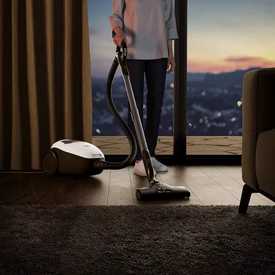 جاروبرقی سایلنت آاگ AEG VX82-1ALR