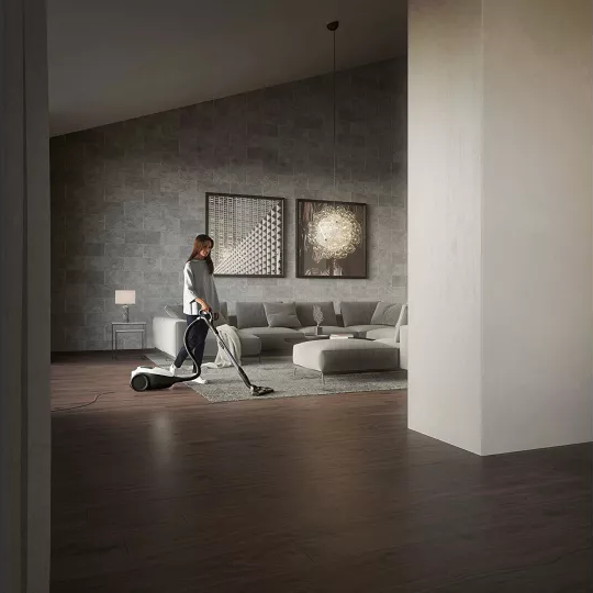 جاروبرقی سایلنت آاگ AEG VX82-1ALR