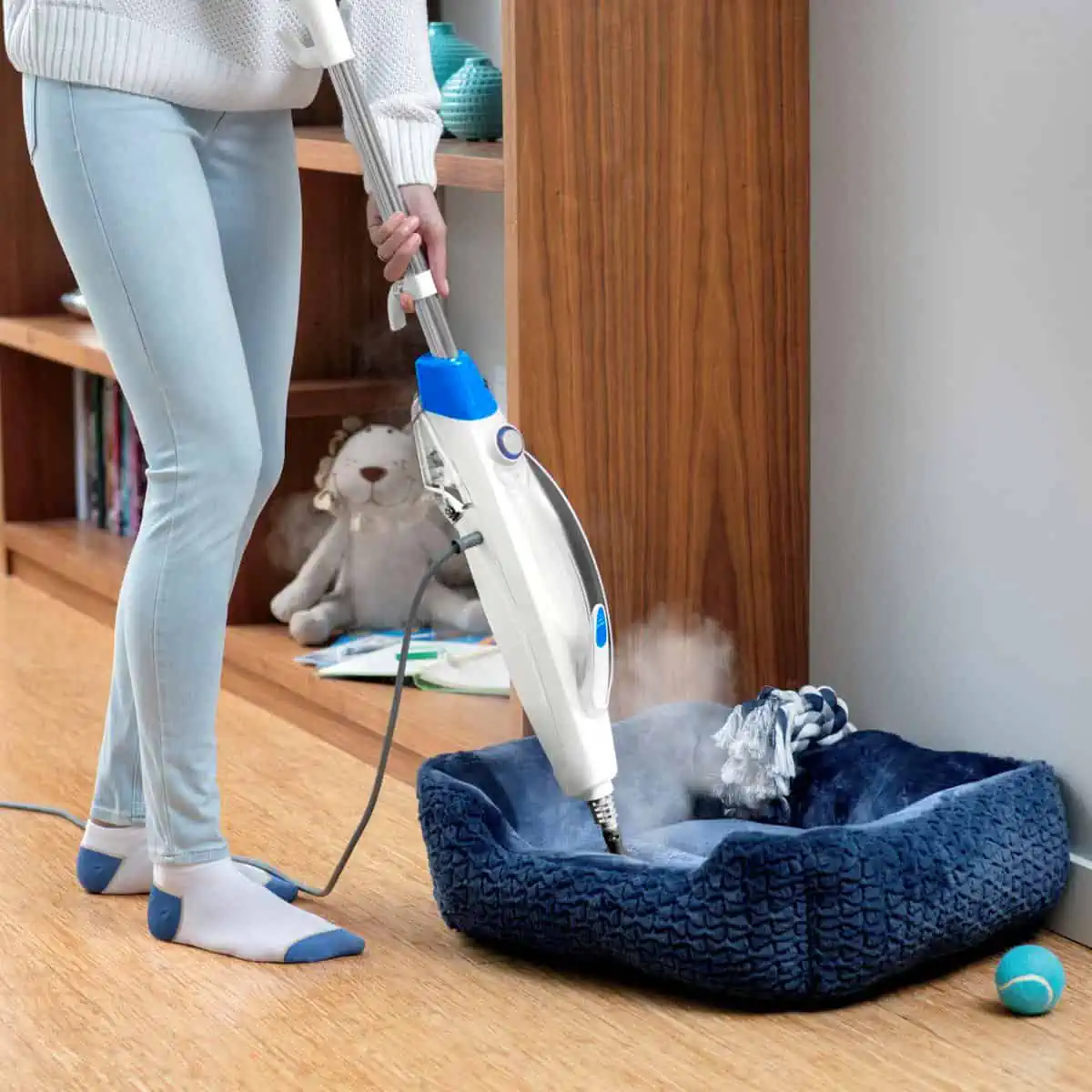 بخارشوی 10 کاره بیسل آمریکا مدل POWERFRESH 3004Z